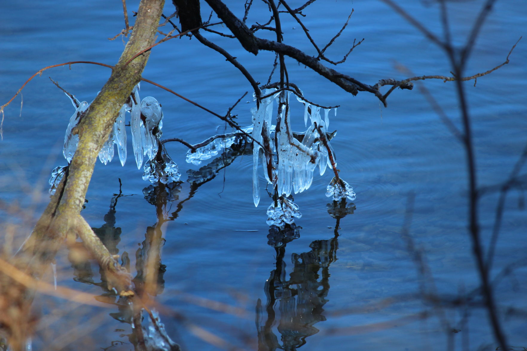 Icicles